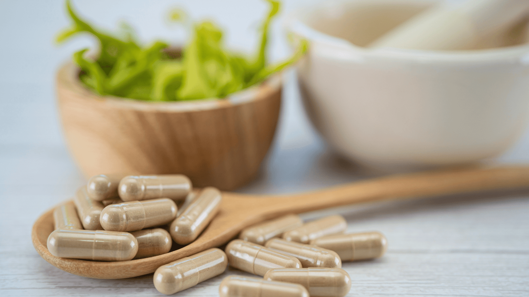 Benefits of Sceletium: Nature's Mood Booster