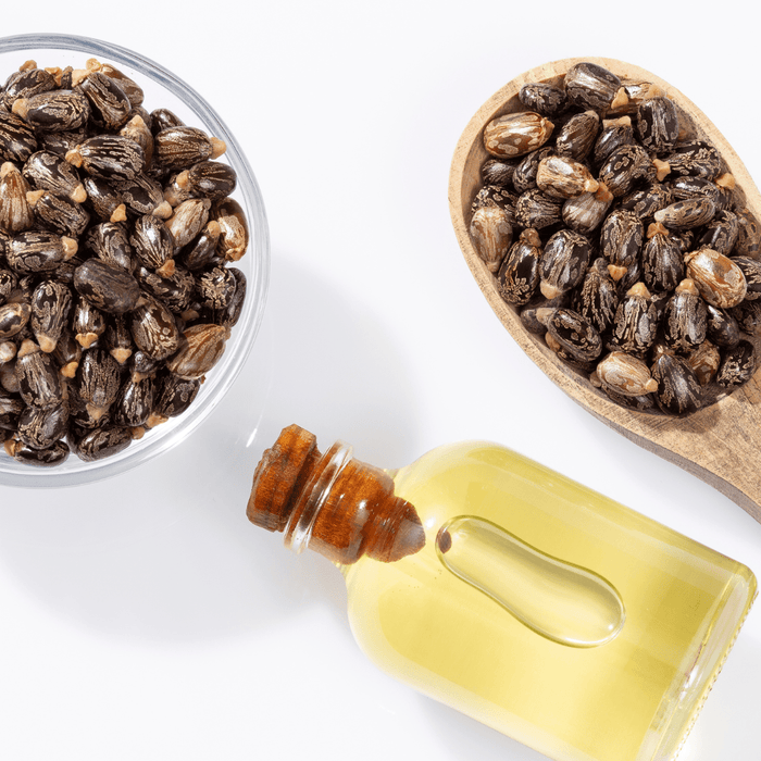 Benefits And Uses Of Castor Oil