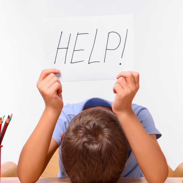 How To Help Your Child Succeed In School: Our Psychologist's Tips