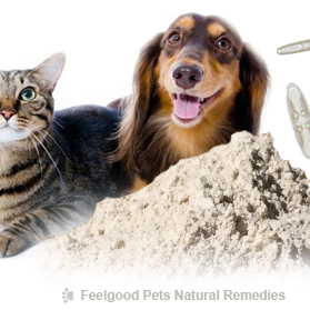 The amazing health benefits of Diatomaceous Earth for your dog or cat! 