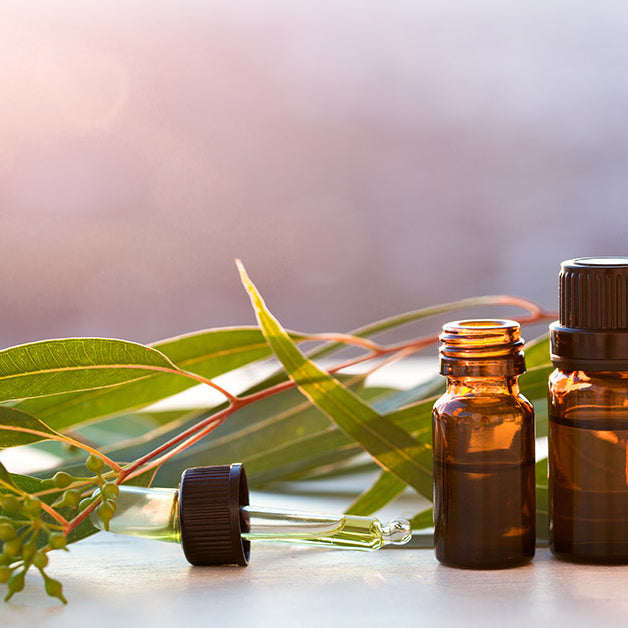 7 Health Benefits of Eucalyptus Essential Oil