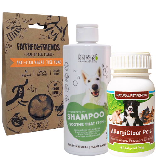 Antihistamine shampoo for outlet dogs